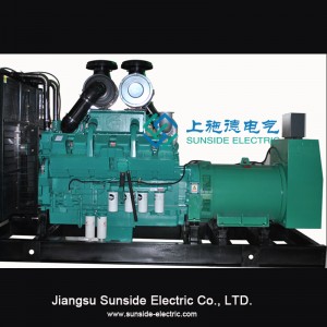 800kVA containergeneratorer