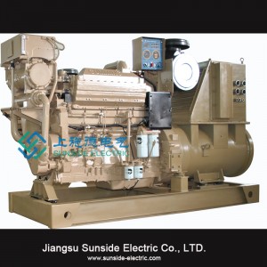 800kVA dieselgenerator sätter fabrik